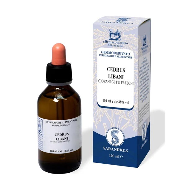 CEDRUS LIBANI