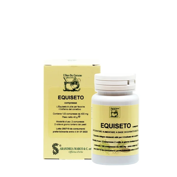 EQUISETO
