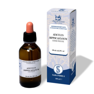 AESCULUS HIPPOCASTANUM