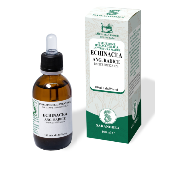 ECHINACEA PURPUREA RADICE