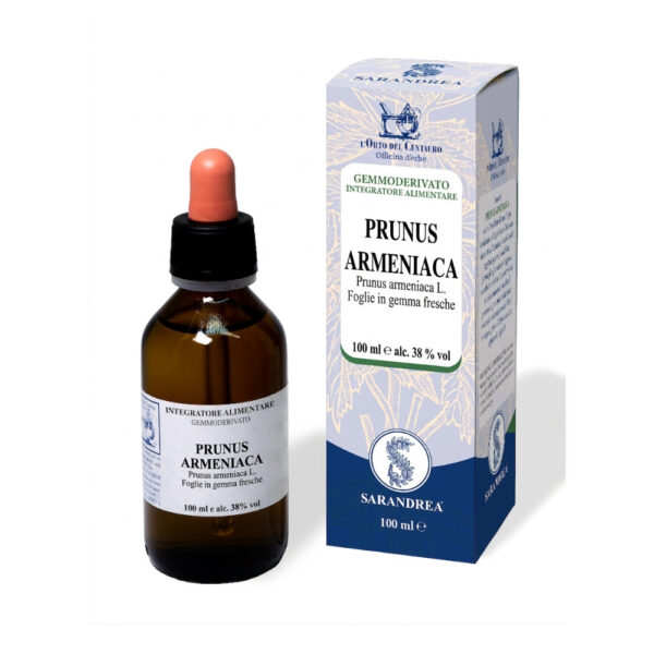 PRUNUS ARMENIACA