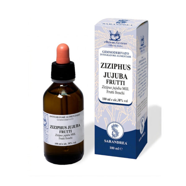 ZIZIPHUS JUJUBA frutti