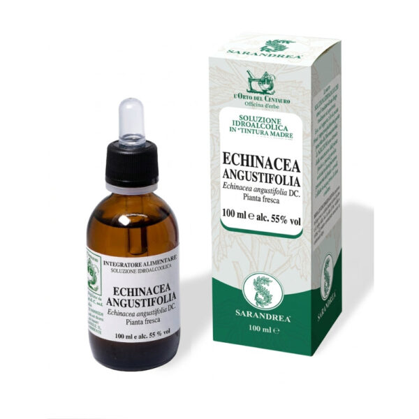 ECHINACEA ANG. PIANTA